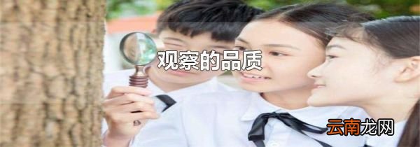 观察的品质