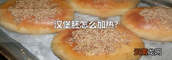 汉堡胚怎么加热?