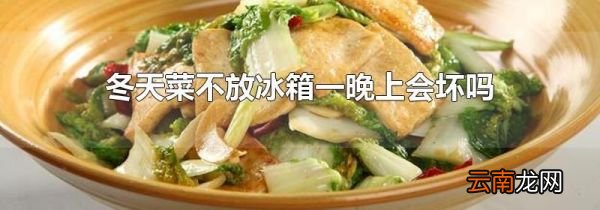 冬天菜不放冰箱一晚上会坏吗