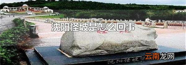沈阳怪坡是怎么回事