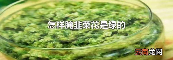 怎样腌韭菜花是绿的