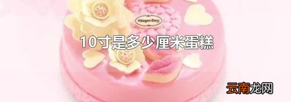 10寸是多少厘米蛋糕