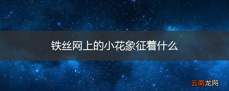铁丝网上的小花象征着什么