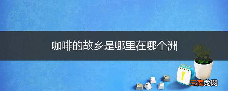 咖啡的故乡是哪里在哪个洲