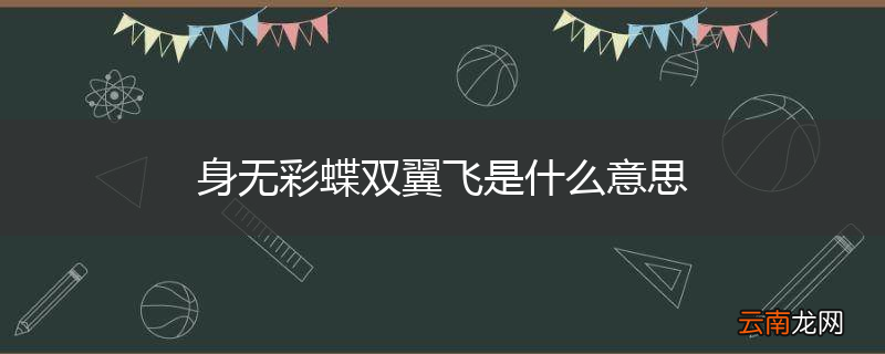 身无彩蝶双翼飞是什么意思