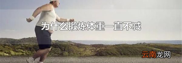 为什么锻炼体重一直不减