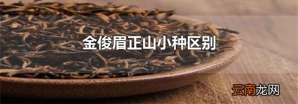 金俊眉正山小种区别