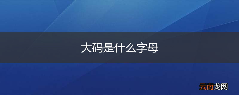大码是什么字母