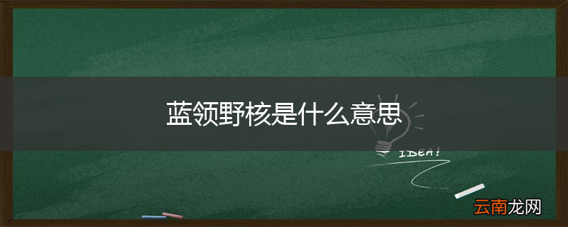 蓝领野核是什么意思