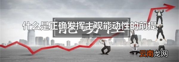 什么是正确发挥主观能动性的前提