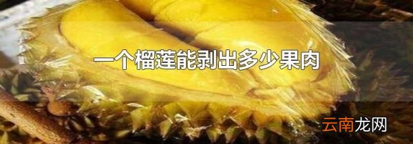 一个榴莲能剥出多少果肉