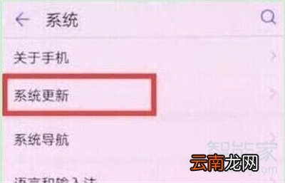 荣耀20s怎么关闭系统自动更新