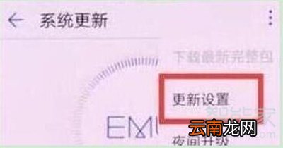 荣耀20s怎么关闭系统自动更新