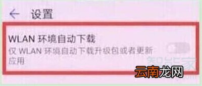 荣耀20s怎么关闭系统自动更新