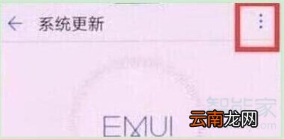 荣耀20s怎么关闭系统自动更新