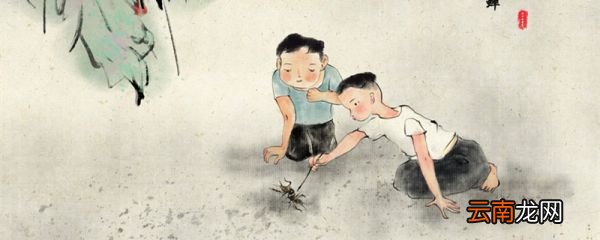 昆虫记田野地头的蟋蟀主要内容 田野地头的蟋蟀主要讲了什么