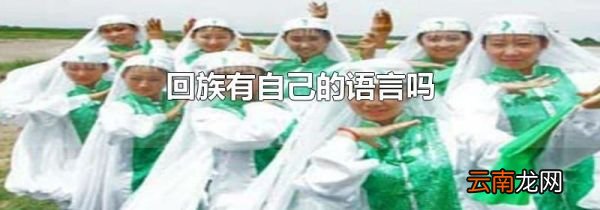 回族有自己的语言吗