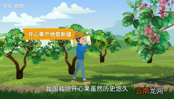 我国开心果产地是哪里 开心果产自中国的哪个地方