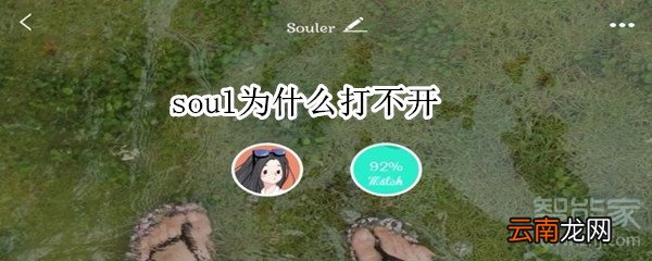 soul为什么打不开