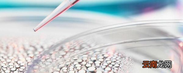 cod是什么意思 cod是什么