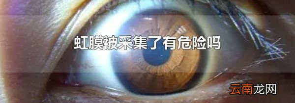 虹膜被采集了有危险吗