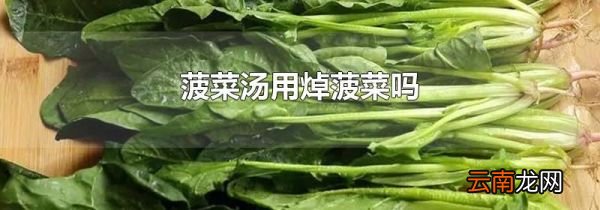 菠菜汤用焯菠菜吗