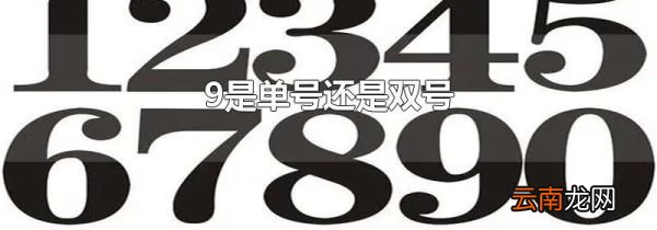9是单号还是双号