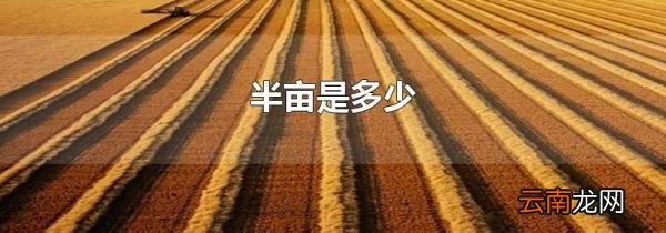 半亩是多少