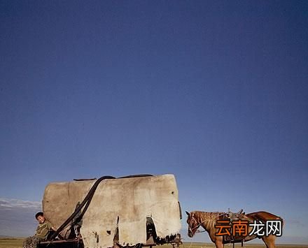 那些关于夏至的记忆！