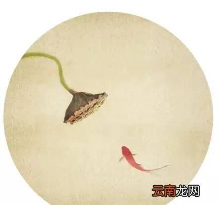 那些关于夏至的记忆！