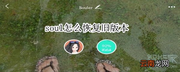 soul怎么恢复旧版本
