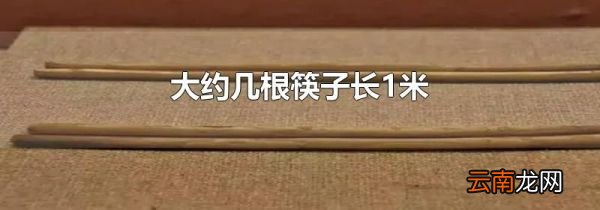 大约几根筷子长1米