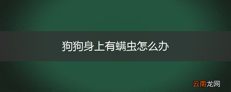 狗狗身上有螨虫怎么办