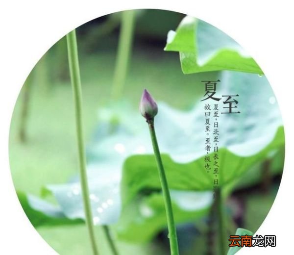 夏至就要吃面，凉面、热面、炸酱面这样吃巨爽