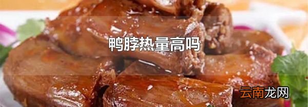 鸭脖热量高吗