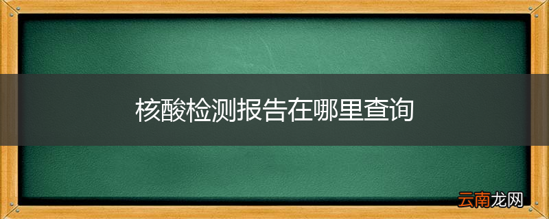 核酸检测报告在哪里查询