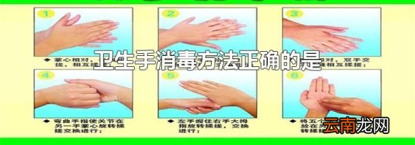 卫生手消毒方法正确的是