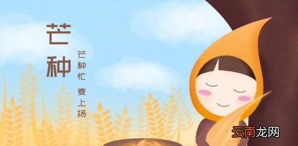 “草生芒种后,叶落立秋前” 芒种都有哪些习俗