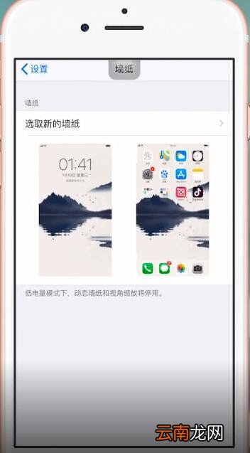 Vper壁纸App详细使用步骤介绍