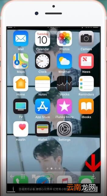 Vper壁纸App详细使用步骤介绍
