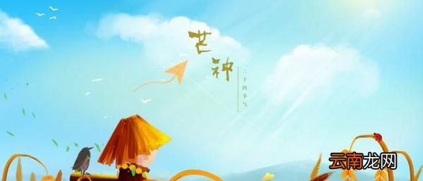 【芒种】愿你收获美好，播种希望