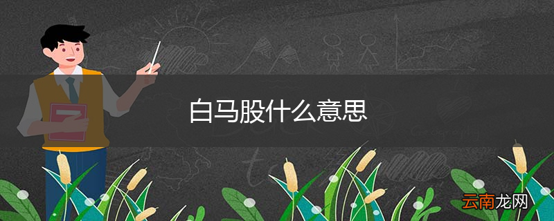 白马股什么意思