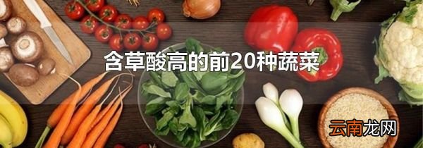 含草酸高的前20种蔬菜