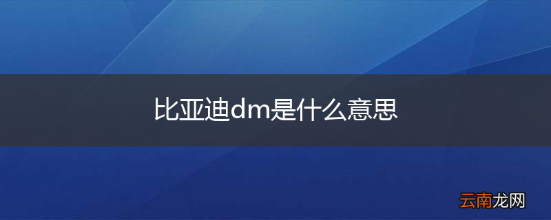比亚迪dm是什么意思