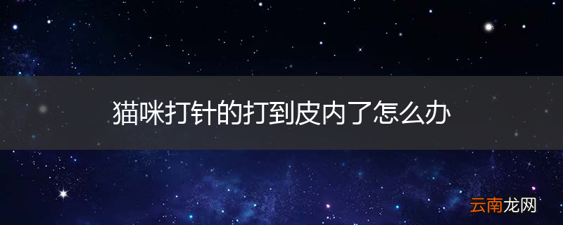 猫咪打针的打到皮内了怎么办