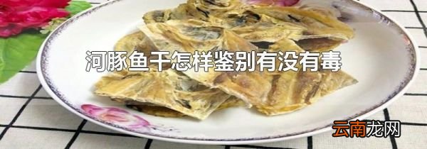 河豚鱼干怎样鉴别有没有毒