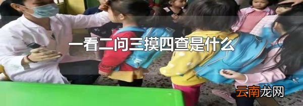 一看二问三摸四查是什么