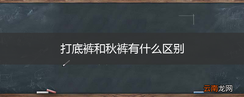 打底裤和秋裤有什么区别