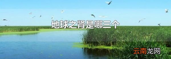 地球之肾是哪三个