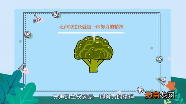 西兰花的花语 西兰花的花语是什么